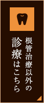 根管治療以外の診療はこちら